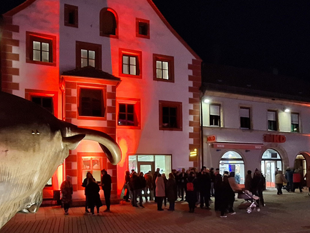 Auerbach-leuchtet-2025-1080x810Pix-D